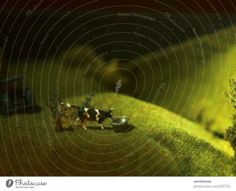 On the mountain pasture... Cow Alpine pasture Milk Pasture Mountain Pattern Landscape Placed Statue Plastic Manikin