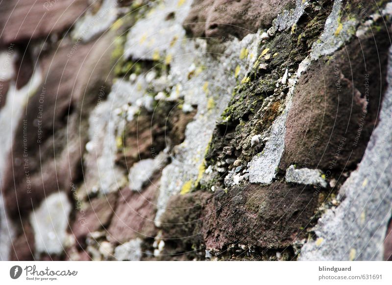stone cold Wall (barrier) Wall (building) Facade Stone Sand Old Dry Brown Gray Black White Medieval times Moss Weathered Colour photo Exterior shot Detail
