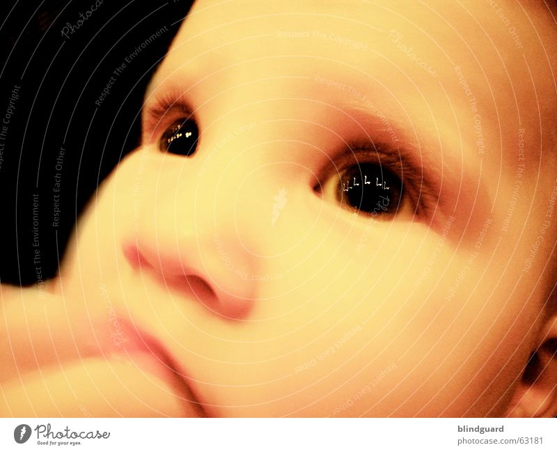 The melody of your eyes Curiosity Child Toddler Baby Emotions Safety (feeling of) Children's eyes Glittering Eyelash Reflection Pensive Absentminded Dream Birth