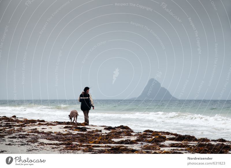 Woman with dog at the sea Senses Relaxation Calm Vacation & Travel Trip Adventure Far-off places Freedom Beach Ocean Island Waves Human being Adults Elements