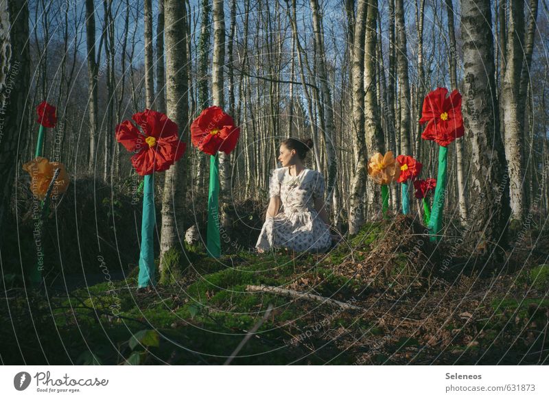 herald of spring Human being Feminine Woman Adults 1 Environment Nature Landscape Plant Sky Spring Summer Beautiful weather Tree Flower Moss Blossom Birch tree