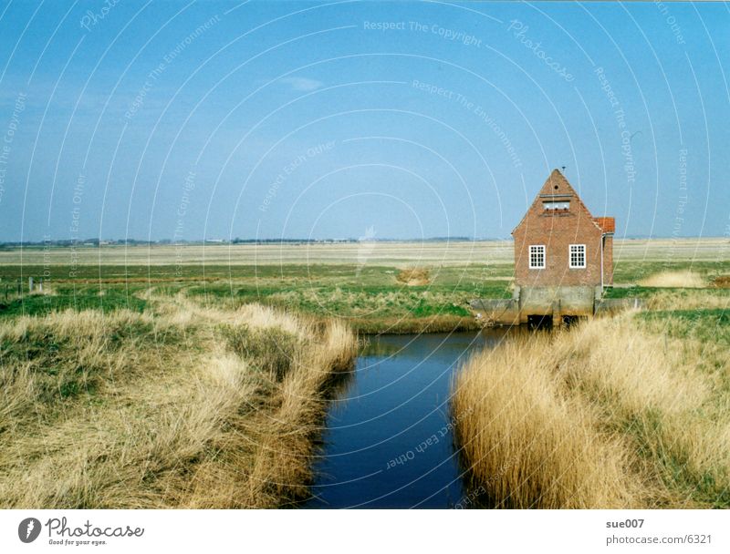 In Denmark Plain Coast House (Residential Structure) Meadow North Sea