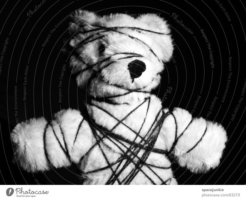 bondage Teddy bear Bavaria Fetishism Captured Shackled String Cramped Black White Bear bdsm Handcuff Limitation roll-fried