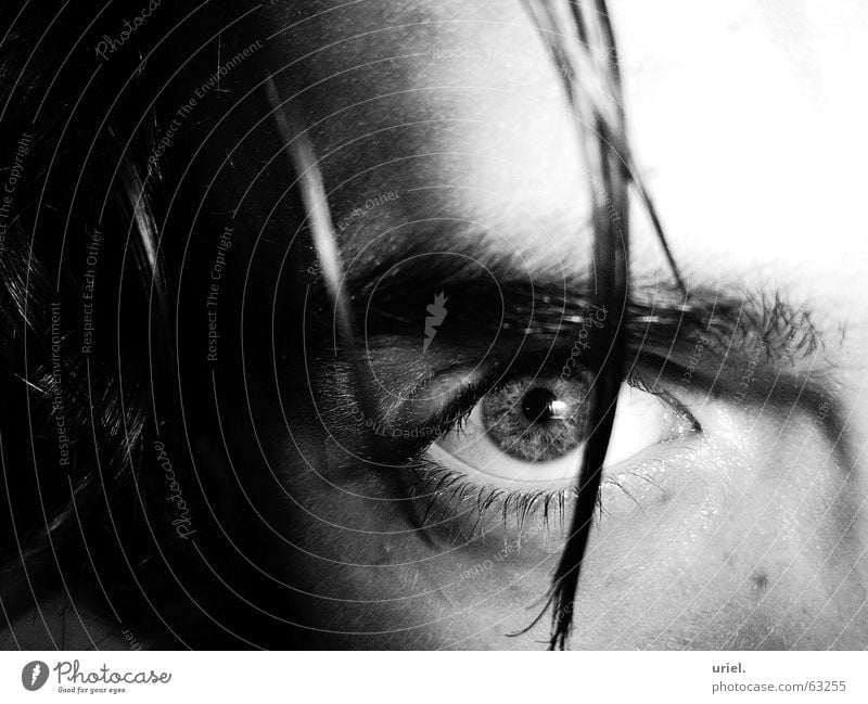 astute Strand of hair Pupil Eyelash Eyebrow Ingenuity Eyes eye Hair and hairstyles Iris Black & white photo Looking Snapshot