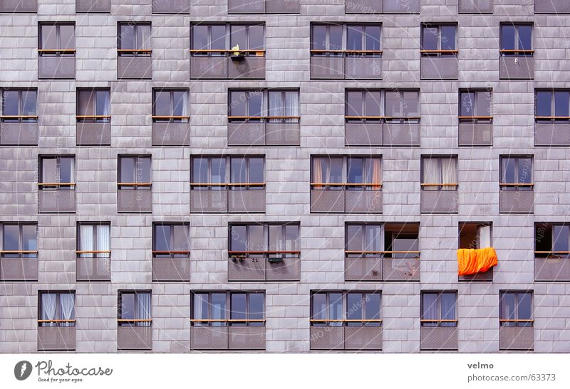 oranje bouwen Facade Window Grid Pattern Anonymous Amsterdam Netherlands Orange symmetry Architecture