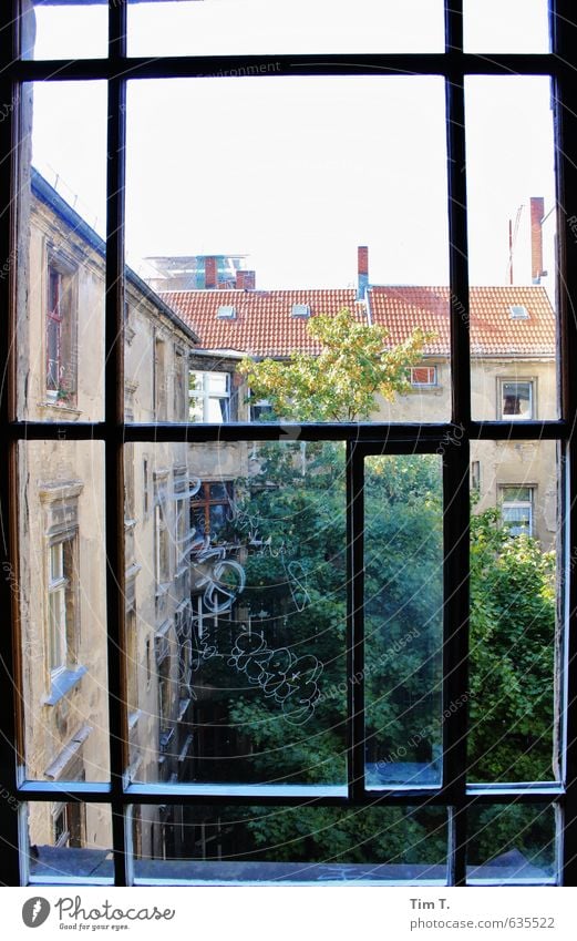 Berlin Germany European Town Capital city Downtown Old town Deserted House (Residential Structure) Window Homesickness Backyard Treetop Colour photo