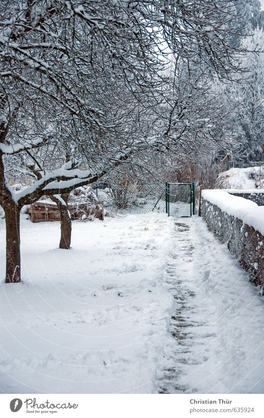 Garden path in winter Vacation & Travel Trip Winter Snow Winter vacation Relaxation Freeze Brown White Emotions Leisure and hobbies Joy Cold Senses Style Moody