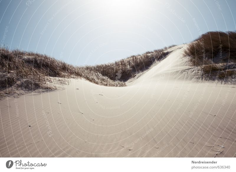 dunes Vacation & Travel Summer Sun Beach Ocean Nature Landscape Sand Cloudless sky Beautiful weather Grass Coast North Sea Warmth Wanderlust Dune Marram grass