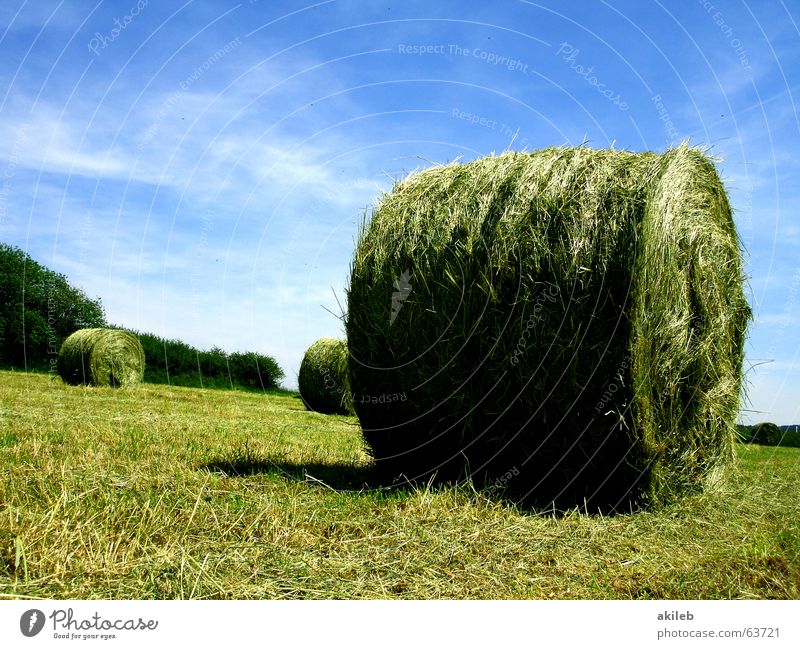 hay bales Straw Field Bale of straw Summer Calm Agriculture Meadow Hay bale Green Yellow Clouds Relaxation Round Sky Warmth Blue Nature