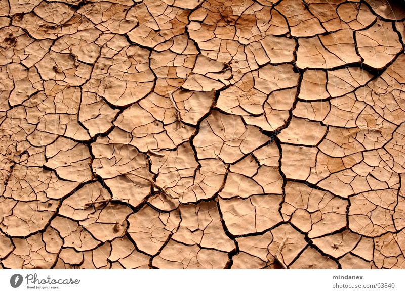 cracks & furrows Loam Drought Beige Wood Field Desert Floor covering Crack & Rip & Tear Furrow