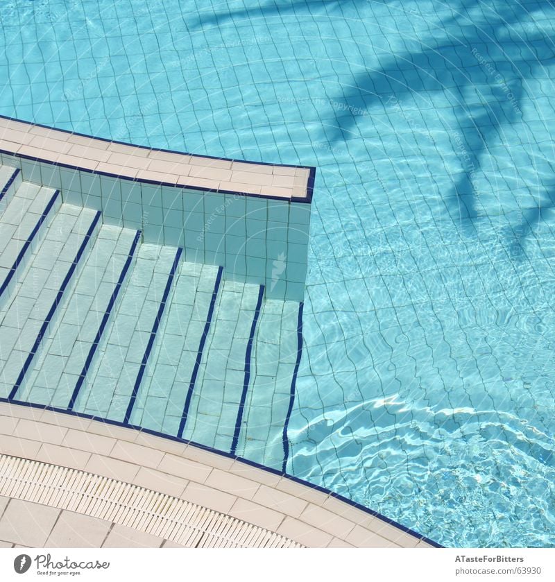 The invisible man Swimming pool Tunisia Palm tree Geometry Vacation & Travel Leisure and hobbies Bird's-eye view Exterior shot Blue Water Border Shadow Tile