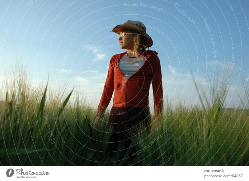 cowgirl Exterior shot Copy Space left Copy Space right Day Evening Looking away Grain Human being Woman Adults Nature Field Clothing Hat Blonde