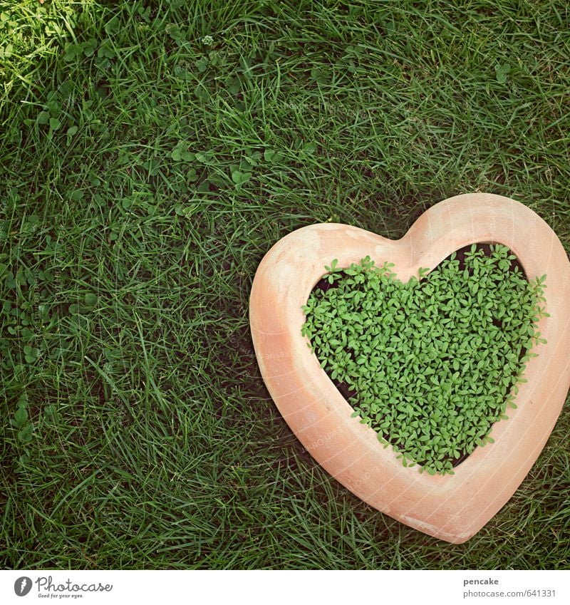 herb heart Nature Plant Elements Earth Spring Summer Beautiful weather Garden Meadow Sign Authentic Friendliness Delicious Feminine Green Pink Herbs and spices