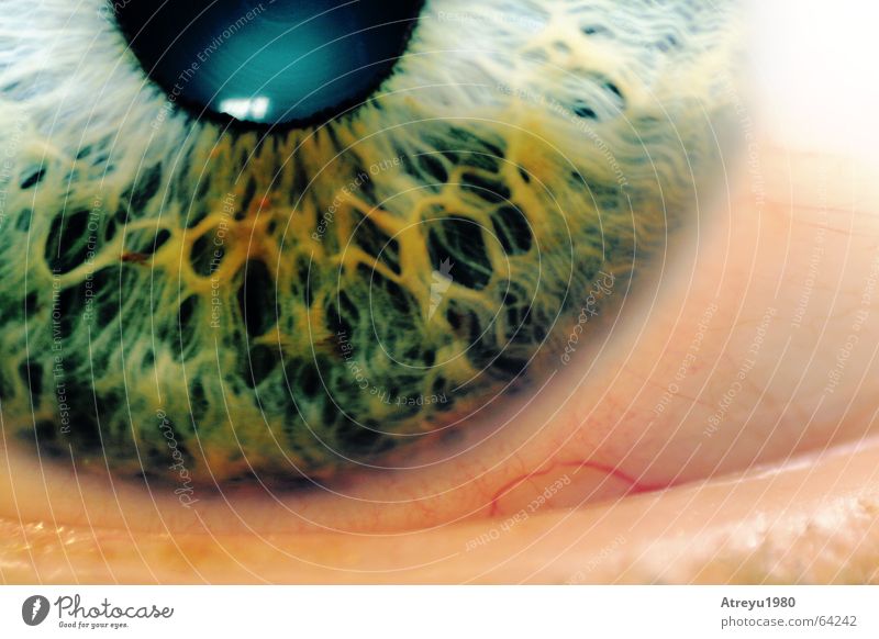 ..moment Pupil Green Glittering Macro (Extreme close-up) Reflection Vessel Blind Health care Eyes Iris Detail eye Looking atreyu Objective Snapshot