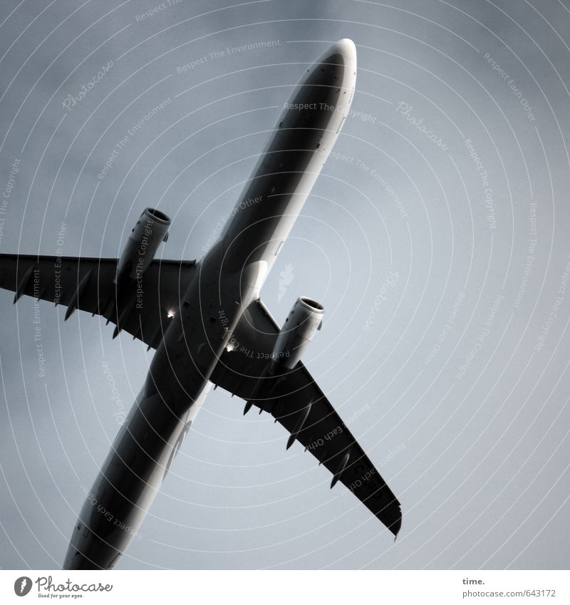 tourist slingshot Aviation Vacation & Travel Tourism Sky Clouds Airplane Passenger plane Metal Steel Flying Threat Large Tall Movement Elegant Speed War