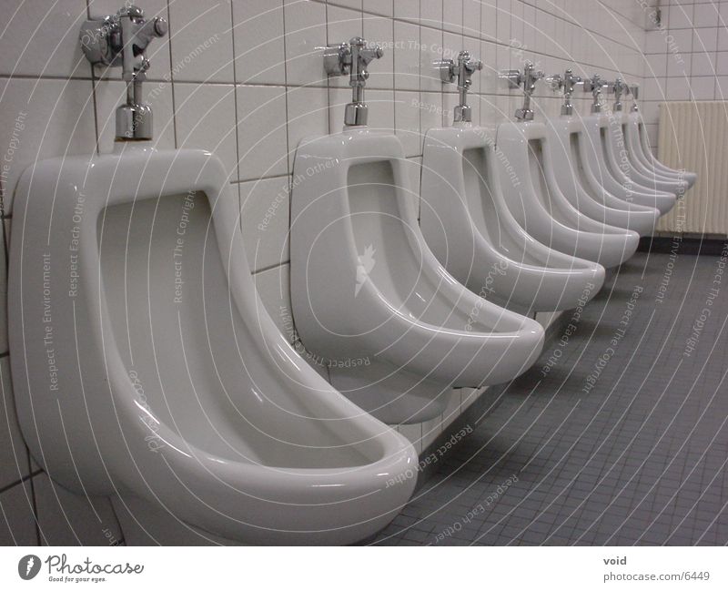 school lavatory Urinal Clean Architecture Crockery