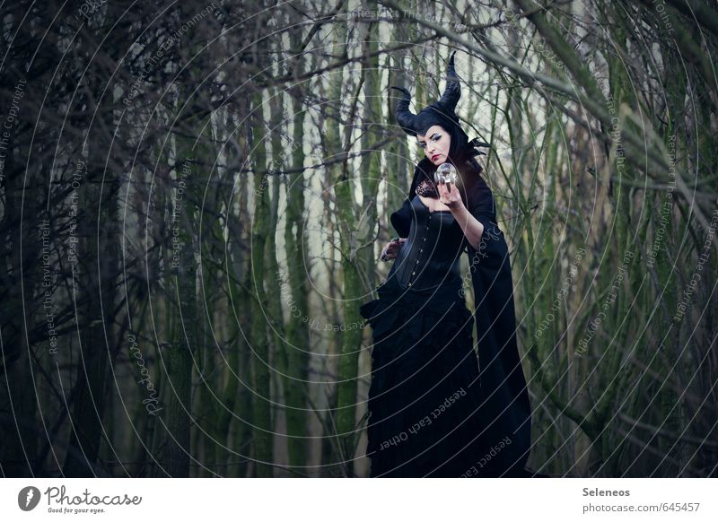 maleficent Carnival Human being Feminine Woman Adults 1 Subculture Environment Nature Forest Fairy tale Enchanted forest Witch Mythology Fortune-telling Antlers