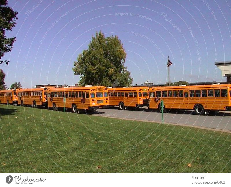 school buses School bus Americas