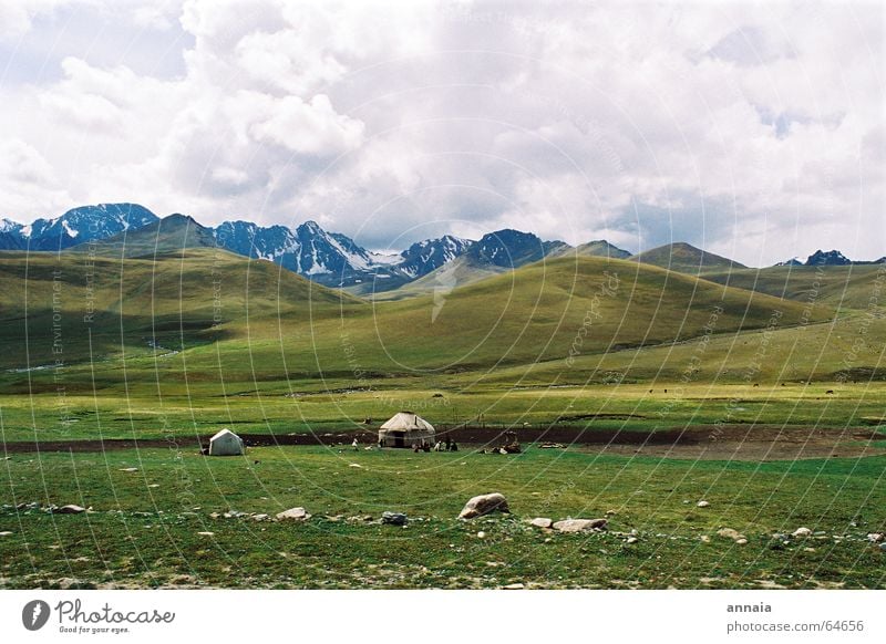 nomads Nomade Asia Sky Clouds Steppe Sheep Mongolia Air Simple Serene Meadow yurt Landscape Mountain hills Life Far-off places Freedom Clarity be human