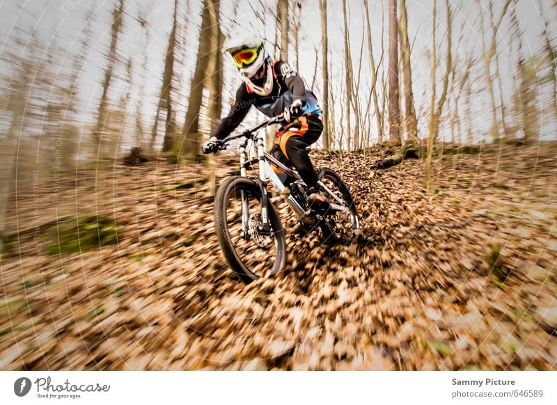 downhill Sports Cycling Bicycle Human being Masculine Young man Youth (Young adults) 1 Driving Athletic Joie de vivre (Vitality) Cool (slang) Joy Mountain bike