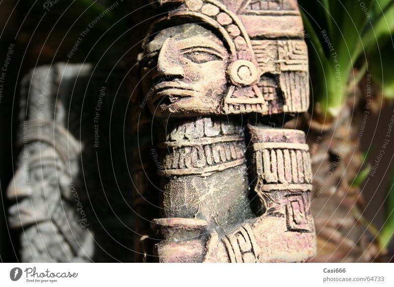 Tomb Raider: The return Statue Virgin forest Inca Maya Excavation Archeology Culture Go under Forget Doomed Art Indiana tomb raider lara croft Jones Mexico
