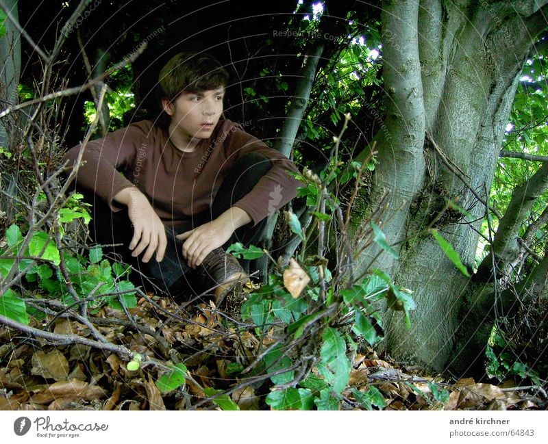 behind the trees Human being Man Adults Nature Tree Bushes Leaf Forest Sit Amazed Portrait photograph