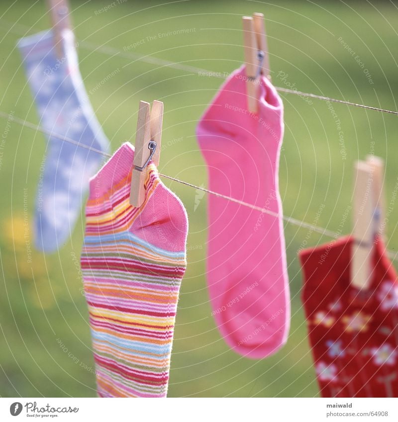 Always one is missing... Clothesline Stockings String Clothes peg Pince-nez Multicoloured Pink Red Flower Blossom Pattern Striped Light blue Green Dry Laundry