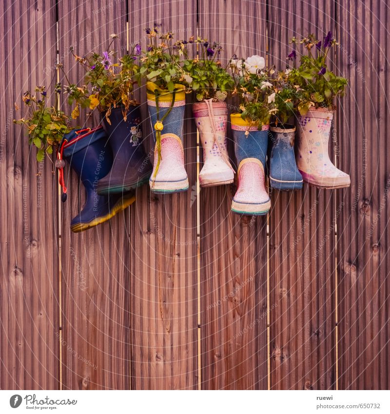 Rubber boots as flower vases on wooden wall Lifestyle Style Design Leisure and hobbies Handcrafts Home improvement Living or residing Flat (apartment)