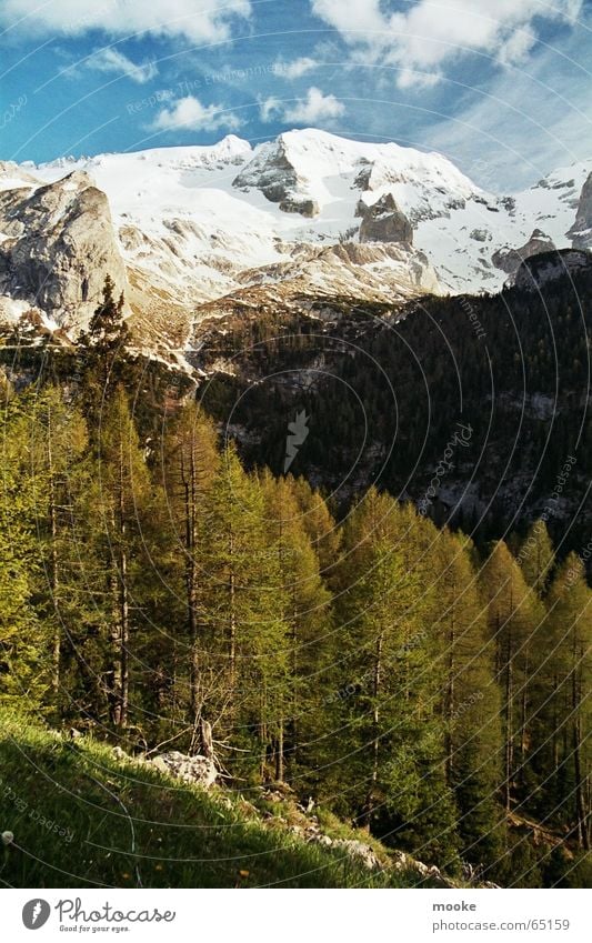 Marmolada II Glacier Forest Clouds White Gray Green Mountain Rock Snow Ice Sky Blue