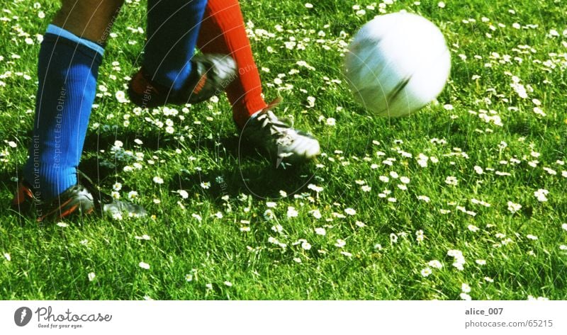 duel Soccer Duel Soccer player Green Red White Shoot Footwear Cuffs or leggings Stockings Fight Grass Flower Football boots Man Playing Ball Walking Lawn Blue