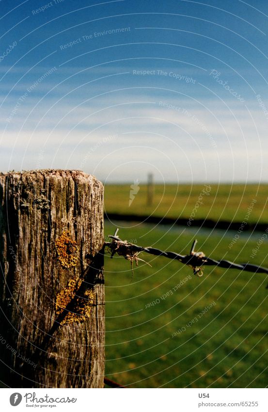 beautiful to look at. East Frisland Meadow Grass Summer Barbed wire Fence