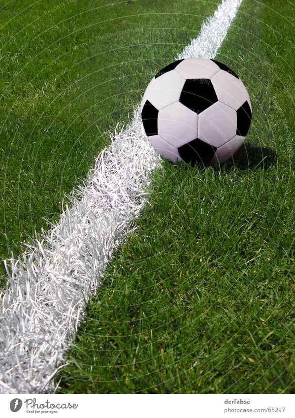 soccer Grass Penalty kick World Cup World champion Soccer Ball Gate Tread