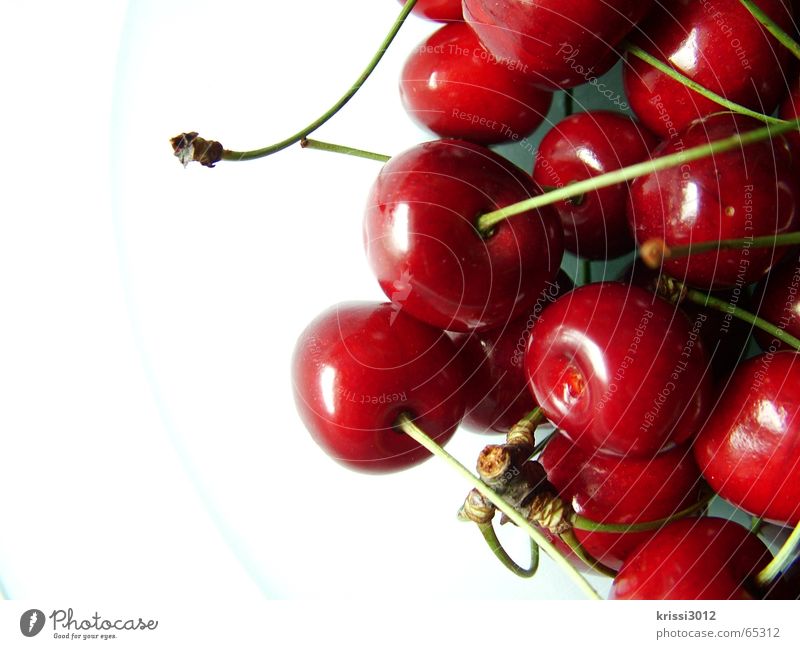 cherry cherry lady Cherry Red Sweet Green Plant Food White Summer Tree Gastronomy Fruit Stalk Anger Heart Harvest