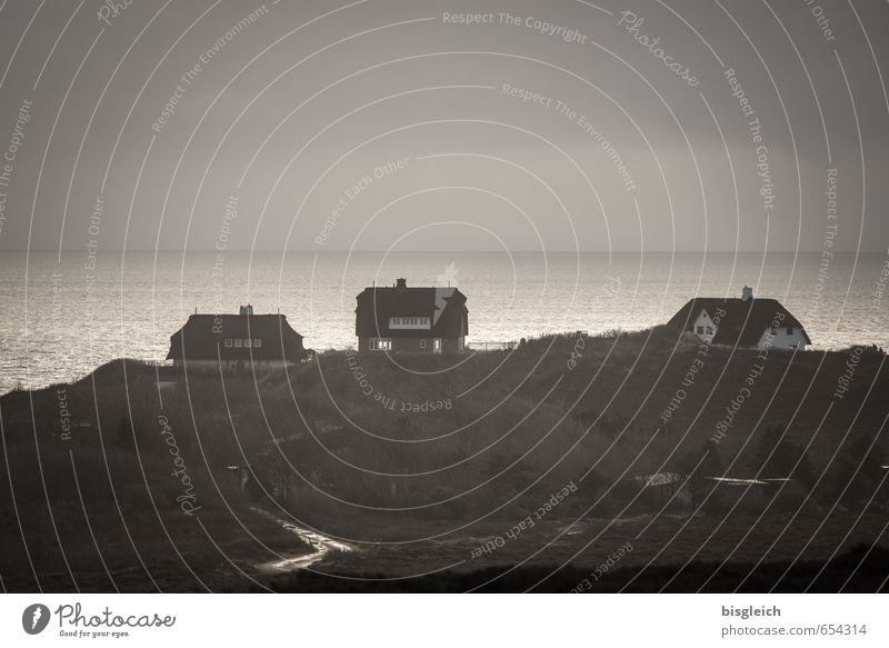 Sylt V Vacation & Travel Ocean Island Water Sky North Sea Germany Europe Village House (Residential Structure) Detached house Brown Gray Far-off places Longing