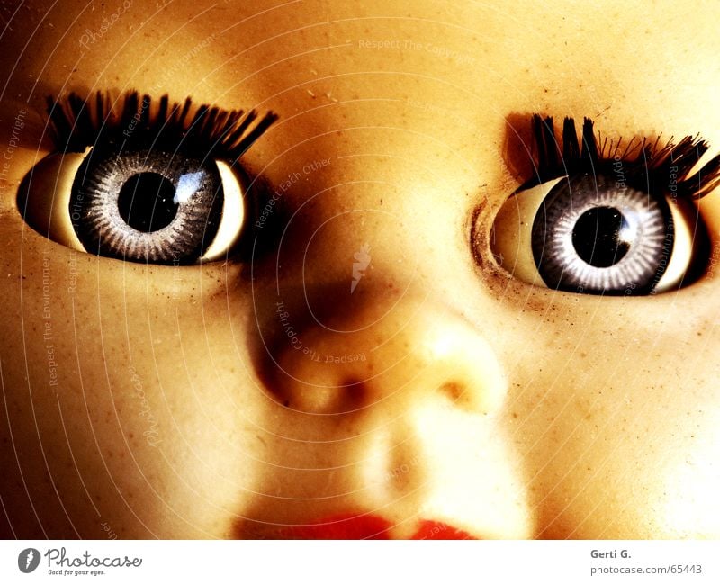 Portrait eyes, nose, mouth of an over 50 years old doll Doll's eyes Button eyes Ancient Toys Innocent Brilliant Glittering Eyelash Mascara Squint Looking view