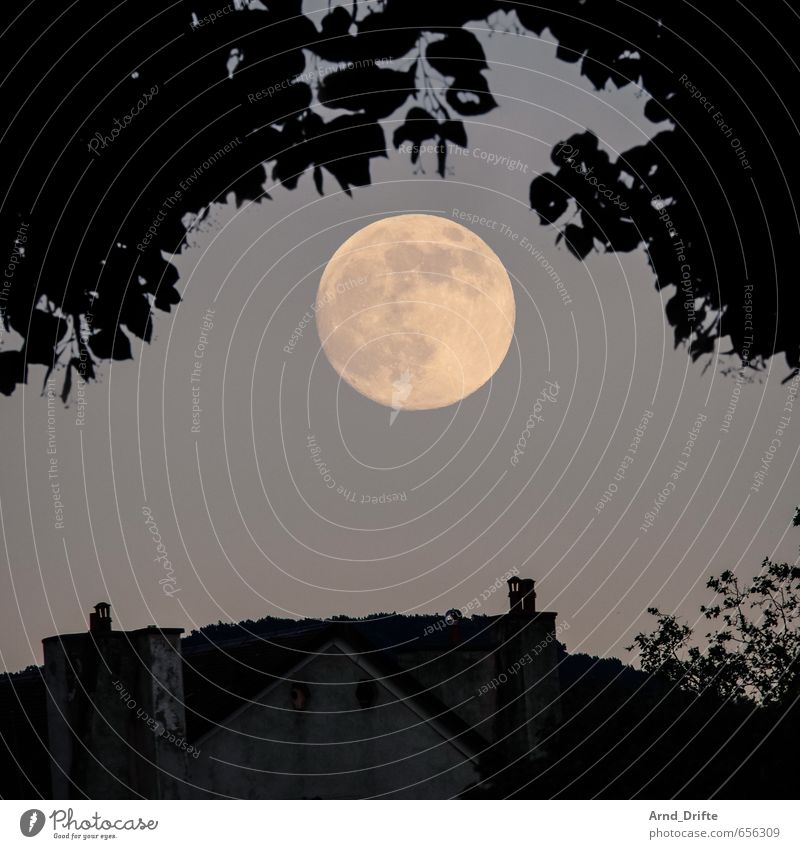 moon Landscape Sky Moon Full  moon Summer Beautiful weather Tree Garden Geneva Town Downtown House (Residential Structure) Roof Chimney Large Romance