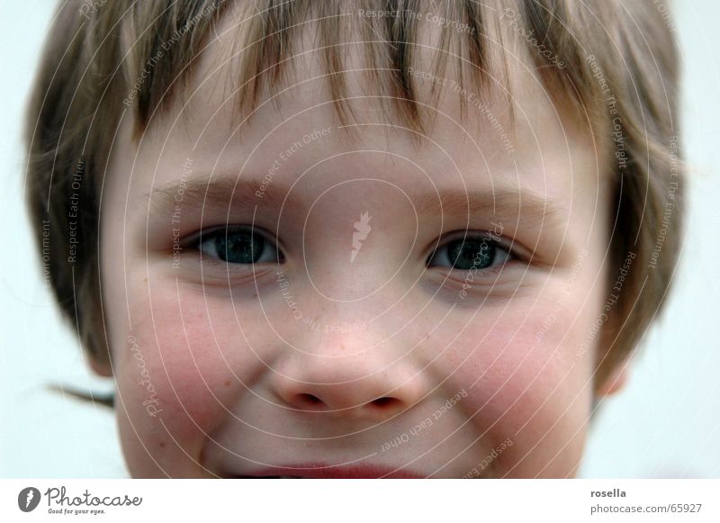 ...radiant happiness Face of a child Child's portrait Children's nose Friendliness Portrait photograph Children's eyes Joy Eyes Happy Nose Laughter Human being