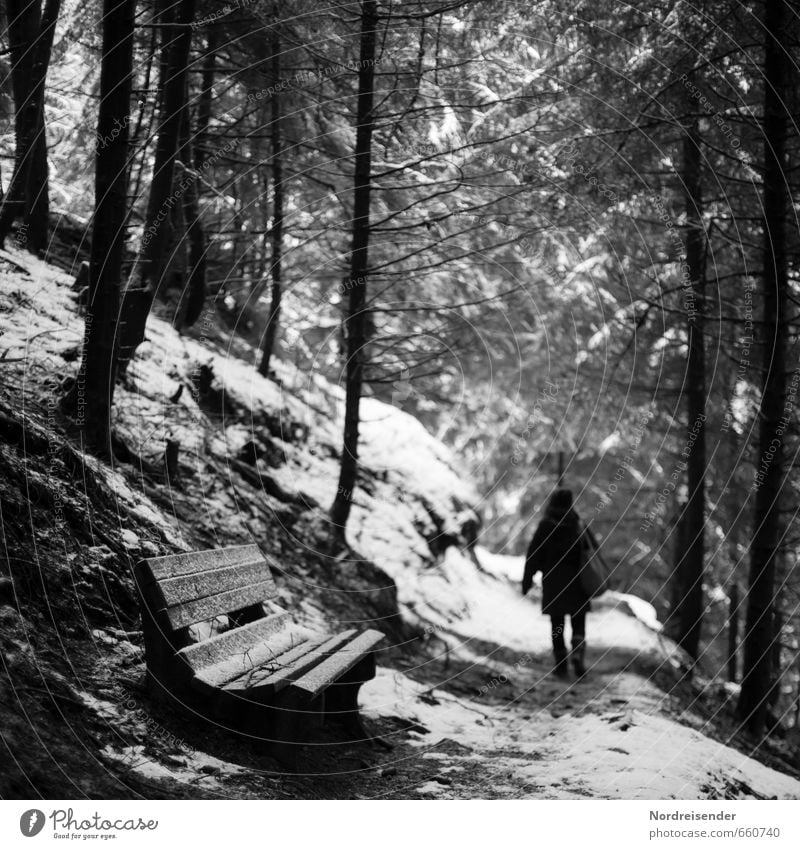 Who is this...? Trip Winter Hiking Human being Woman Adults 1 Ice Frost Snow Forest Lanes & trails Freeze Walking Dark Creepy Fear Nerviness Mistrust Senses