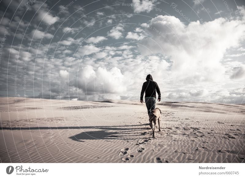 continual Lifestyle Senses Meditation Adventure Human being Man Adults Landscape Sky Clouds Desert Animal Dog Sand Walking Success Bravery Cool (slang)
