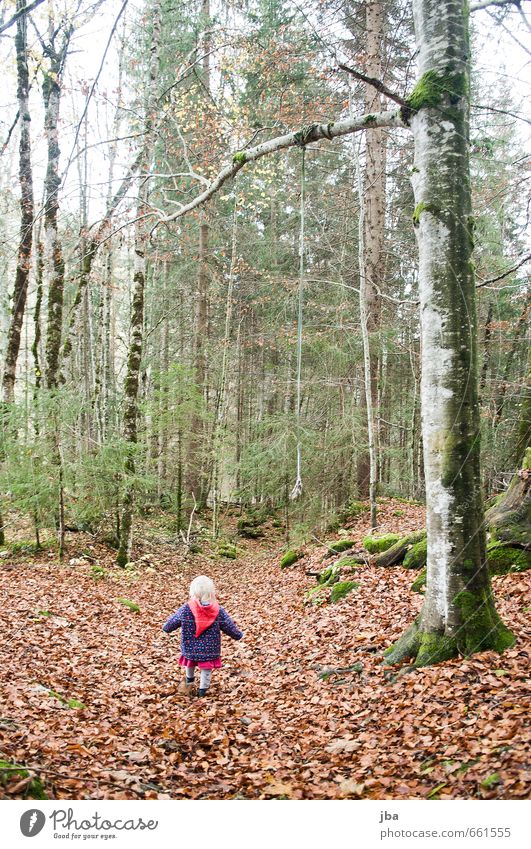 walk in the forest Life Adventure Hiking Parenting Child Feminine Toddler Girl Infancy 1 Human being 1 - 3 years Nature Plant Autumn Fog Tree Leaf Forest