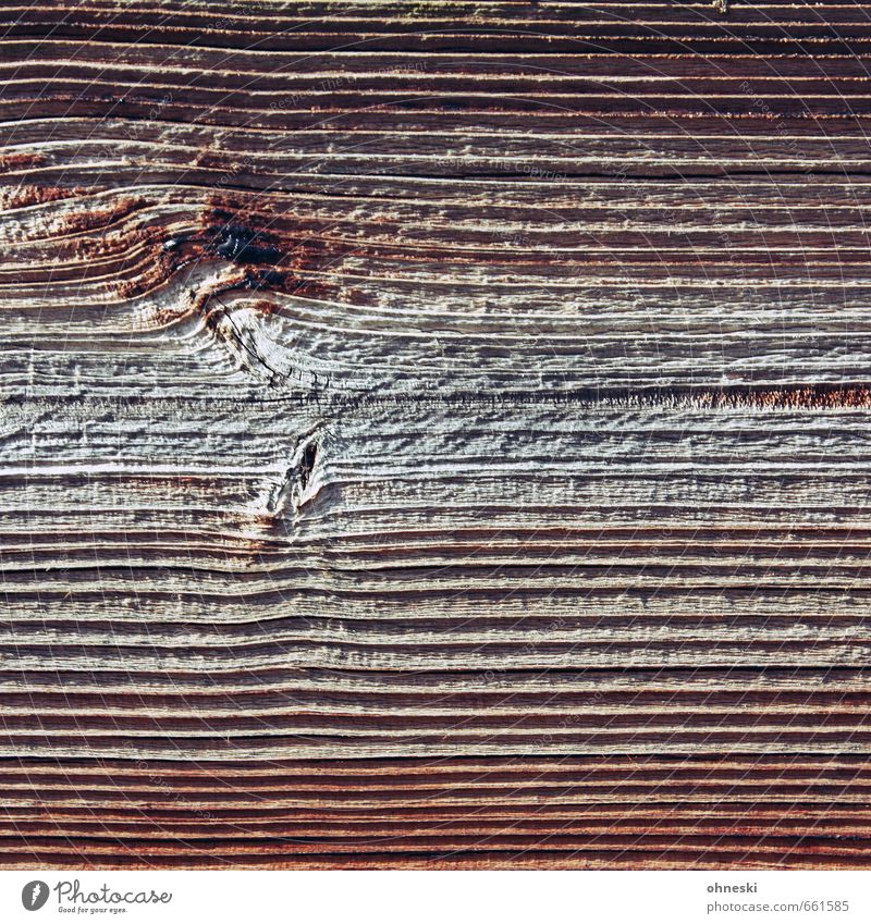 Good Wood Fence Wooden board Line Natural Brown Wood grain Colour photo Exterior shot Abstract Pattern Structures and shapes Copy Space left Copy Space right