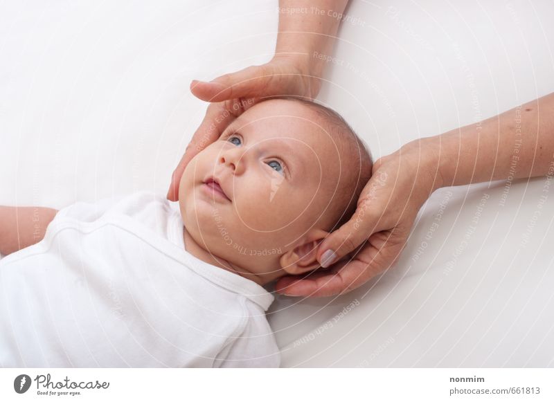 Senior woman hands holding baby head Joy Happy Beautiful Face Playing Child Human being Baby Toddler Boy (child) Woman Adults Female senior Grandparents