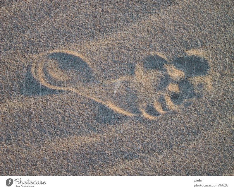 foot Hot Footprint Sand Desert Nature Sun Wind Feet Barefoot