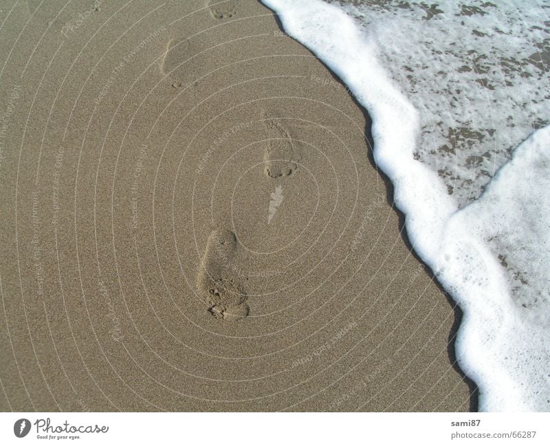 Traces in the sand Tracks Beach Ocean Waves Italy Vacation & Travel Sand Water Feet footprint traces in the sand Walking