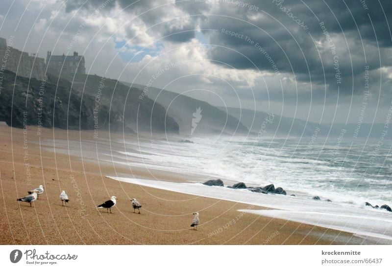 Ode To The Sea Ocean Beach Seagull England Clouds Passion White crest Waves Tide Dark Gale English Rain Coast House (Residential Structure) Mountain seaöven