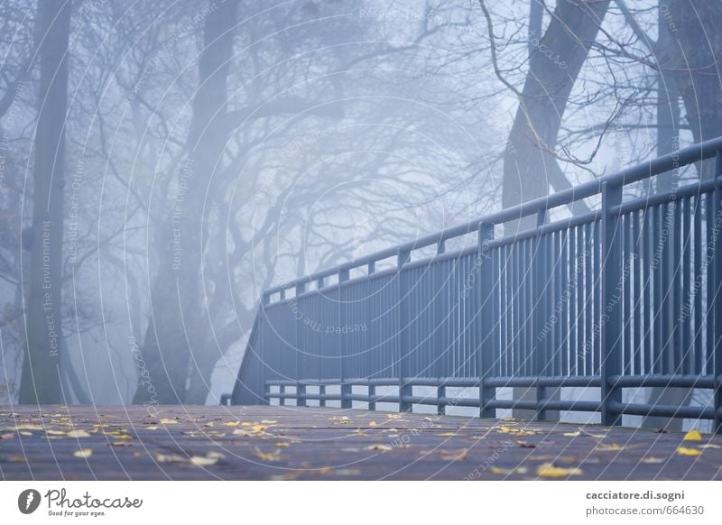 An autumn morning Environment Autumn Fog Park Bridge railing Lanes & trails Exceptional Threat Dark Creepy Cold Gloomy Blue Gray Black Boredom Sadness