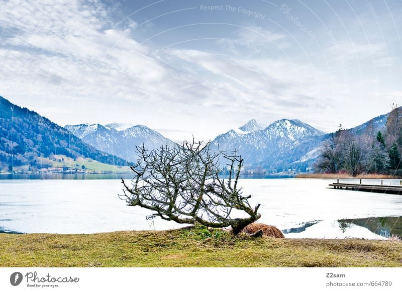 Schliersee Environment Nature Sky Clouds Winter Bushes Meadow Alps Mountain Lakeside Simple Cold Sustainability Natural Gloomy Blue Gray Loneliness Relaxation
