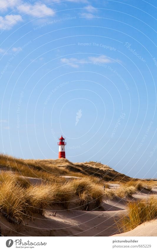 lighthouse Nature Landscape Sand Air Sky Beautiful weather marram grass Coast Beach Deserted Lighthouse Signs and labeling Vacation & Travel Relaxation Tourism
