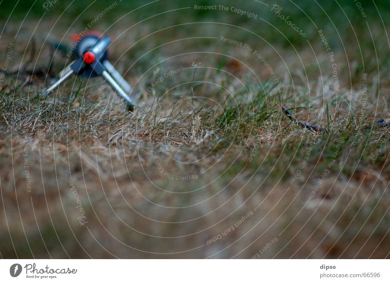 Water, please water Grass Dry Lawn sprinkler Physics Summer Humidity Brown Green Meadow Dried Thin Warmth Shriveled Pasture