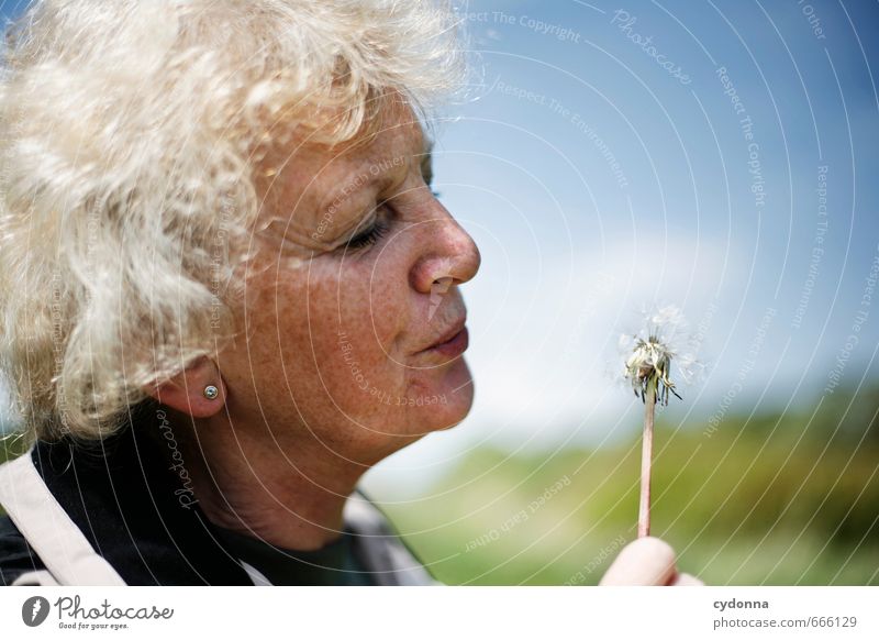 dandelion Lifestyle Happy Healthy Health care Care of the elderly Harmonious Well-being Human being Female senior Woman Senior citizen 45 - 60 years Adults